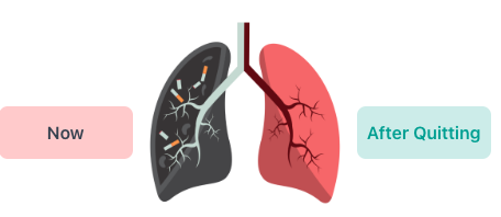 screen shot 2025 08 05 at 21.52.18